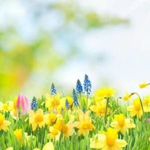 Meet your Posher, Marcia